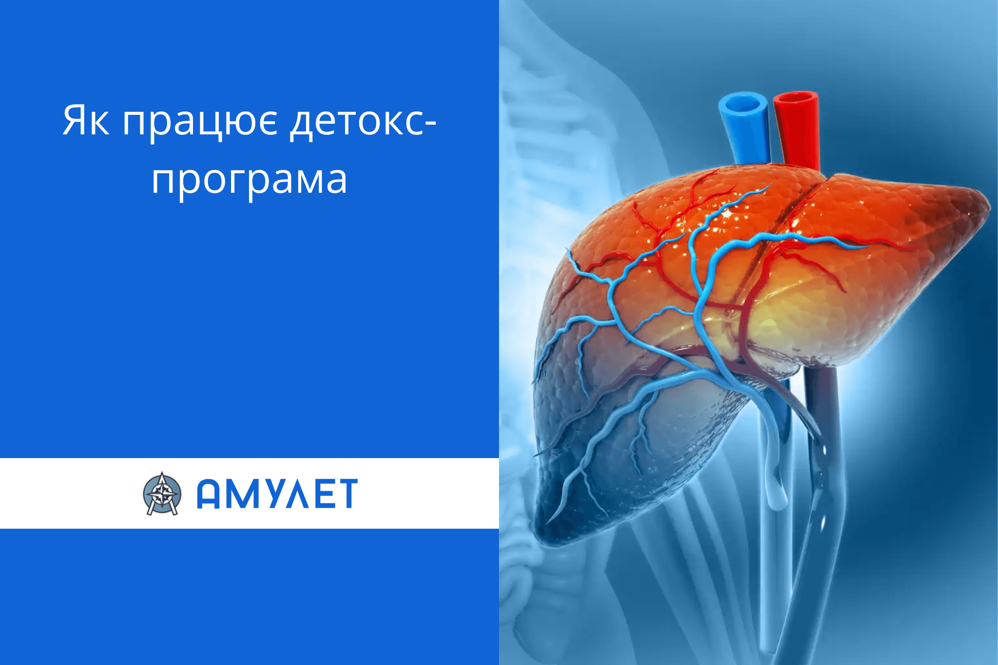 Як працює детокс-програма